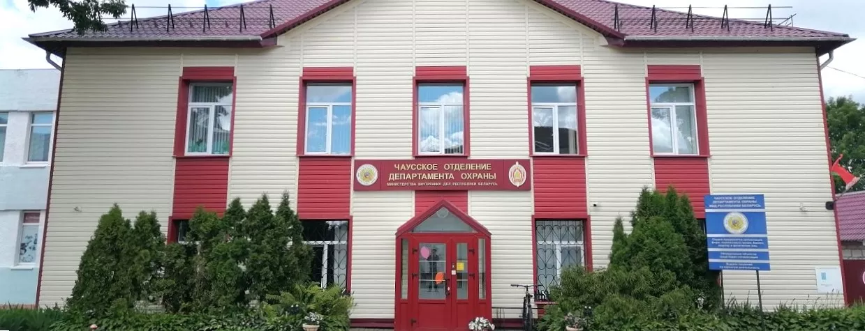 чаусы.jpg