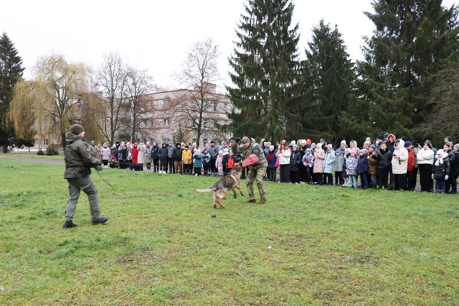 10.JPG 10.JPG