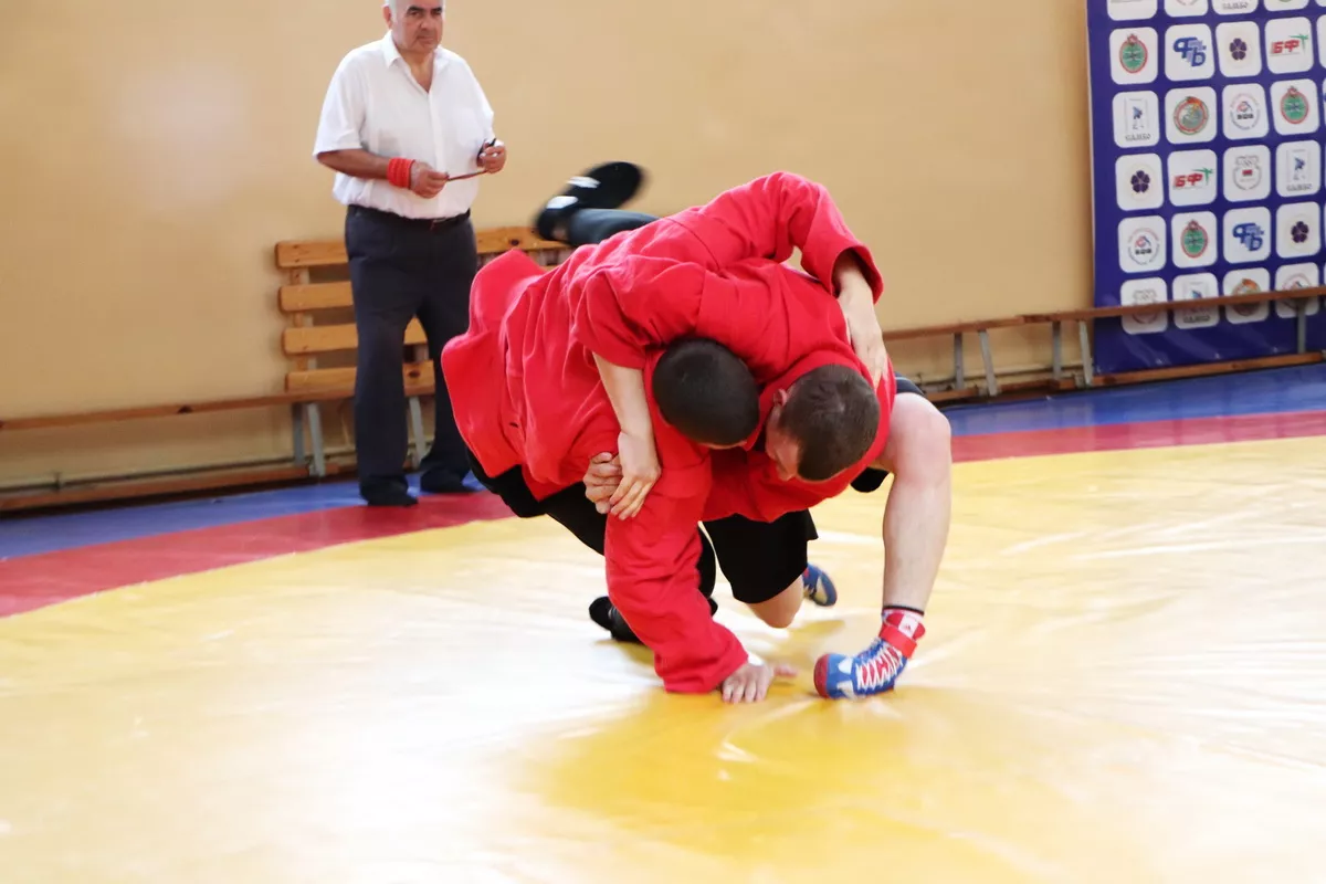 IMG_7895.JPG IMG_7895.JPG